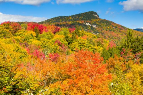 Fall In New England