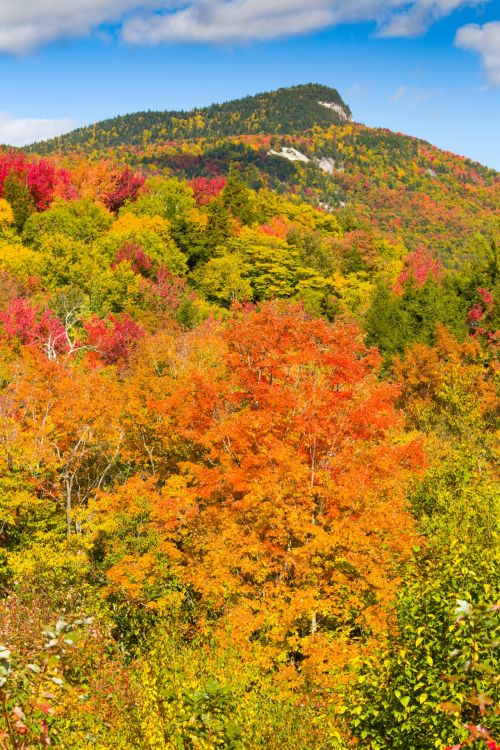 Fall In New England