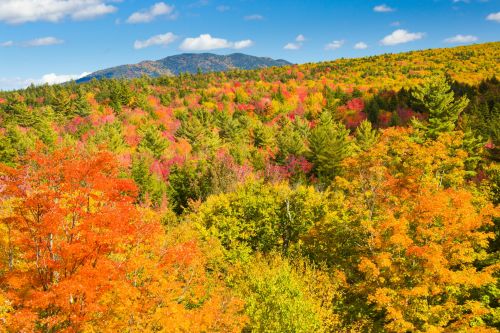 Fall In New England