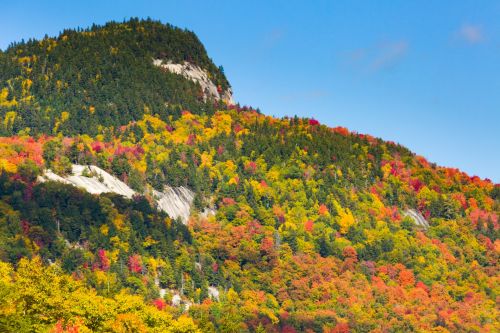 Fall In New England