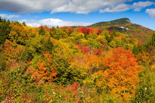 Fall In New England