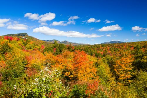 Fall In New England