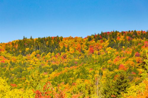 Fall In New England