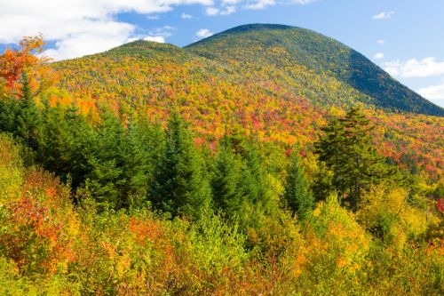 Fall In New England