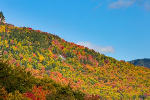 Fall In New England