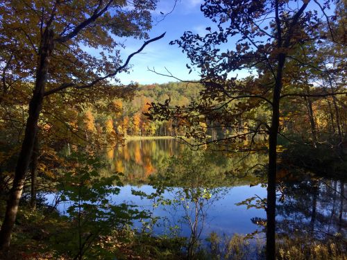 Fall Lake View