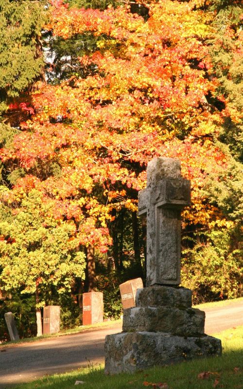 fall leaves cemetery season