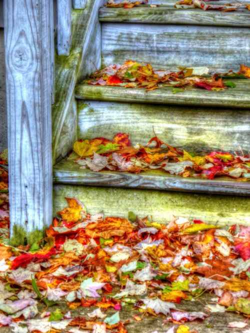 Fall Leaves On The Stairs