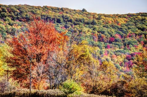 Fall Mountainscape