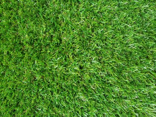 False Green Grass Wallpaper