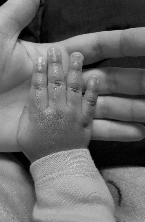 family baby hand parent hand