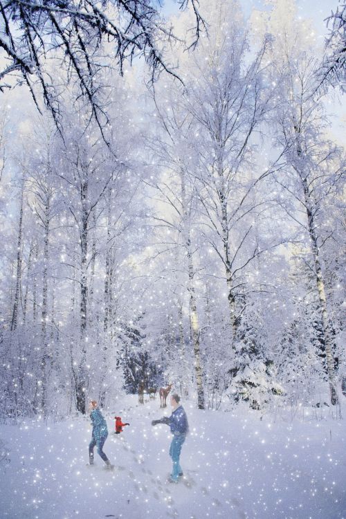 family winter greeting card