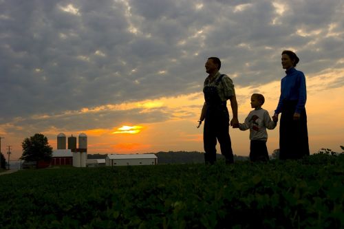 family farm sunset