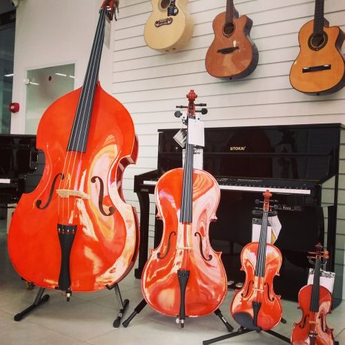 family of strings violin viola