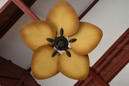 fan ceiling fan air