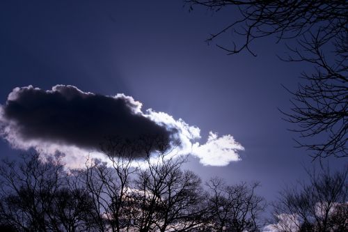 fantastic purple cloud