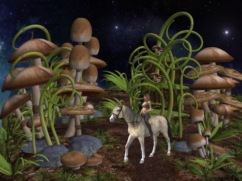 fantasy mushroom horse