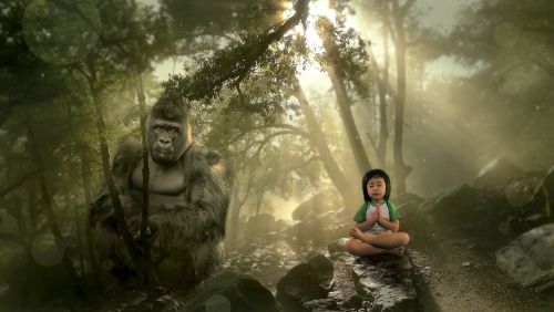 fantasy forest gorilla