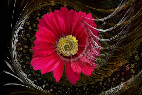 fantasy flower fractal