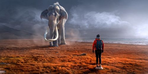 fantasy landscape elephant
