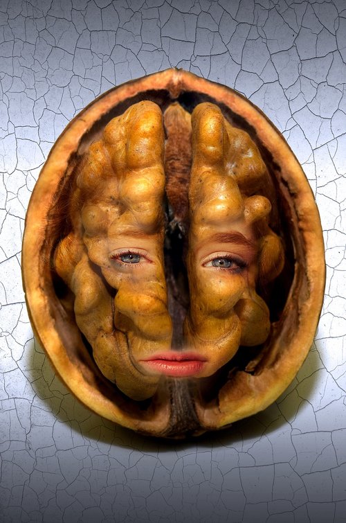 fantasy  surreal  walnut