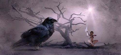 fantasy  crow  tree