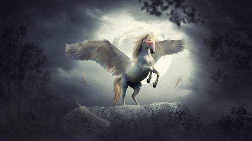 fantasy  unicorn  fairy tale