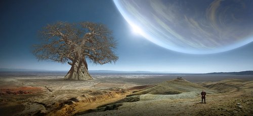 fantasy  tree  planet