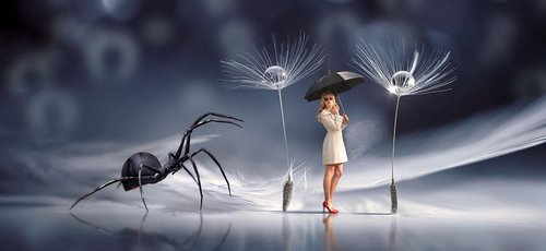 fantasy  spider  woman