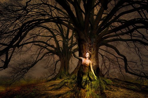 fantasy  woman  tree