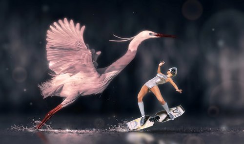 fantasy  heron  bird