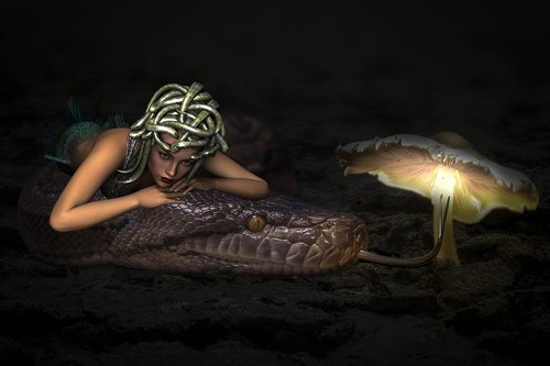 fantasy  medusa  snake