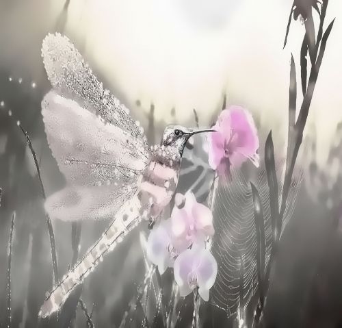 fantasy hummingbird dragonfly