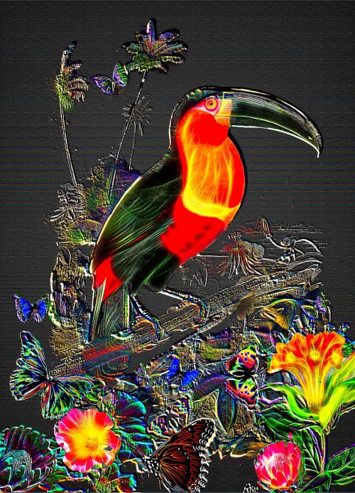 fantasy toucan jungle background toucan wall art