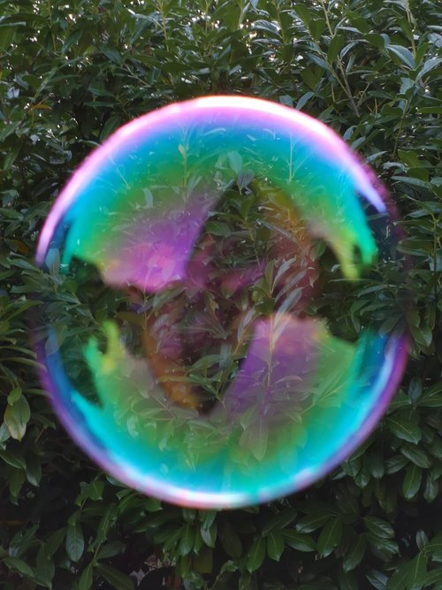 fantasy world through the soap bubble  play of color in nature  children's dreams