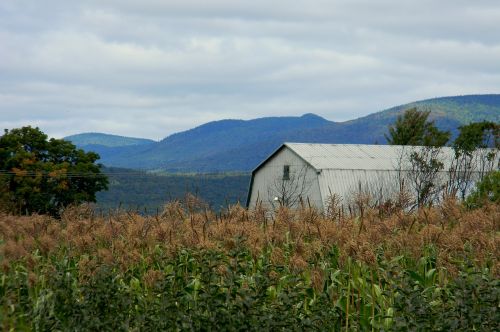 farm landscape field