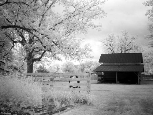 farm lasso fence