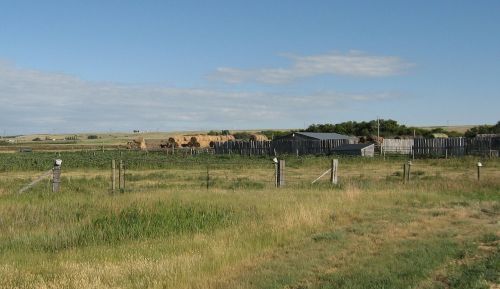 farm ranch ranching