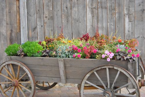 farm autumn deco