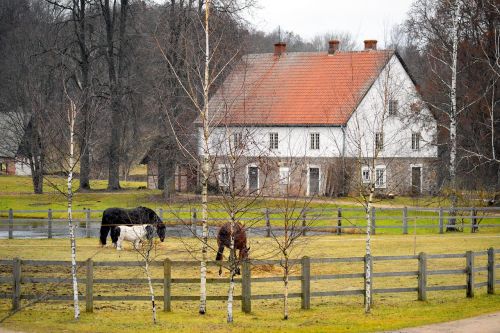 farm farmhouse horses