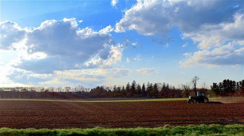 farm field sunset