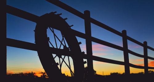 farm sunset fence