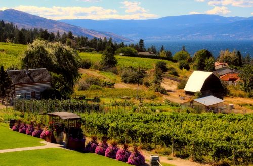 farm landscape garden