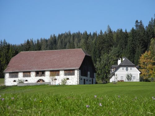 farm meadow nature