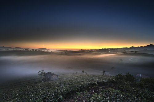 farm  the morning  tea