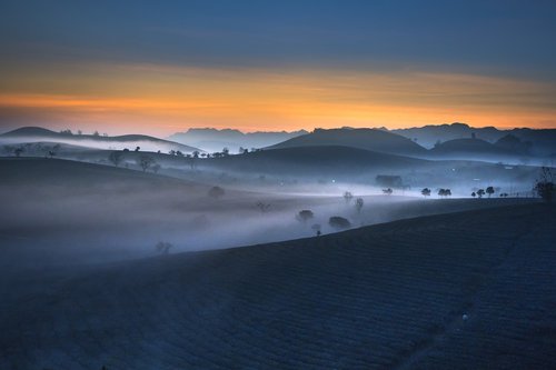 farm  the morning  sơnla