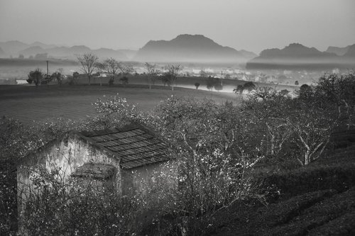 farm  the morning  sơnla