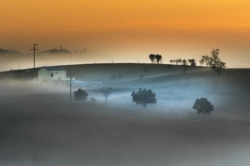 farm  the morning  sơnla