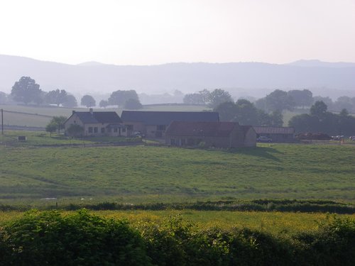 farm  sunset  nature