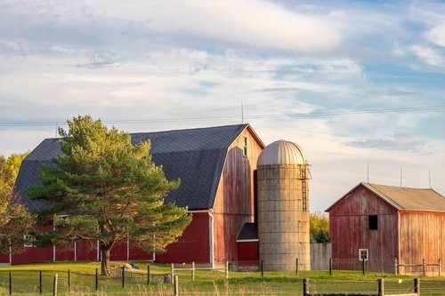 farm  rural  barn